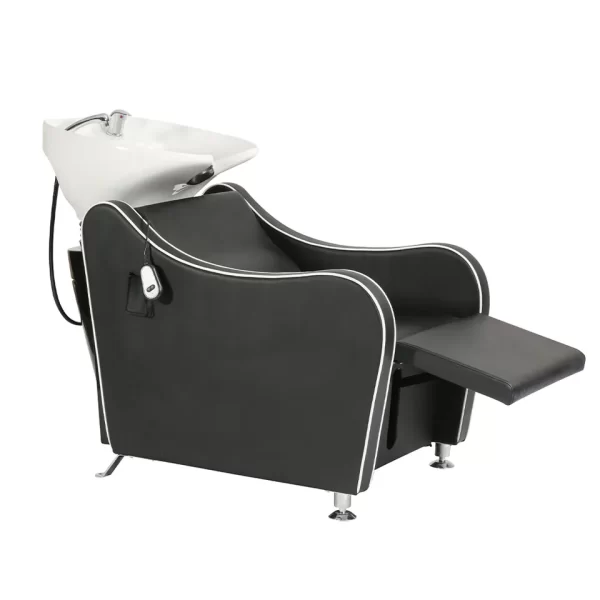 Premium Comfort Backwash Unit - Image 2