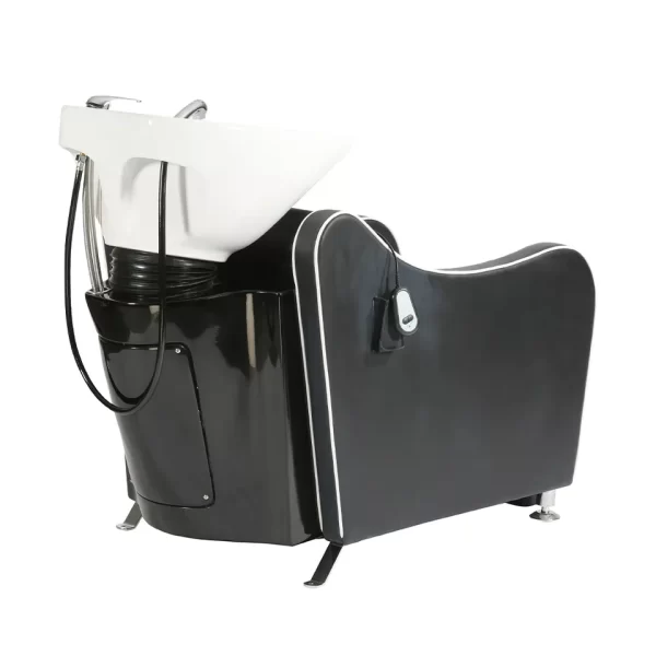 Premium Comfort Backwash Unit - Image 3