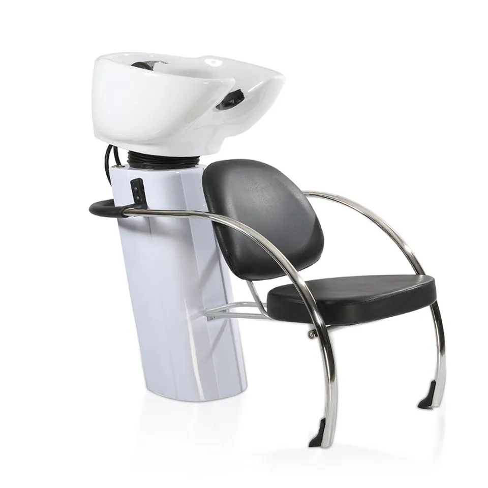 Clásico Refinado Lavaderos Salón de Belleza