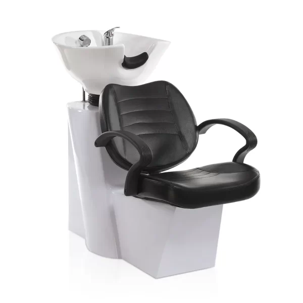 Royal Serenity Backwash Unit