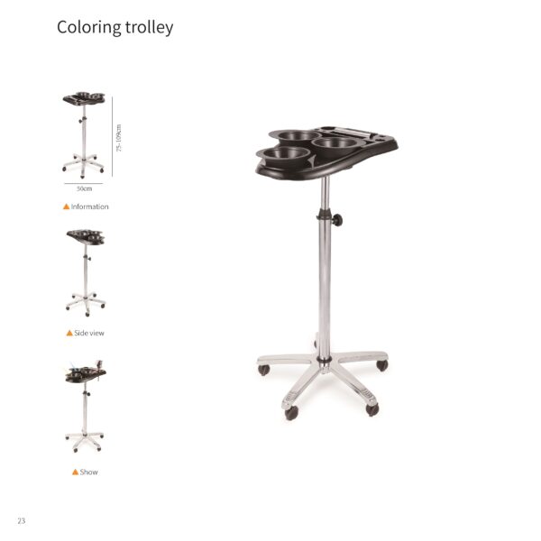 ColorCraft Beauty Salon Trolley Cart
