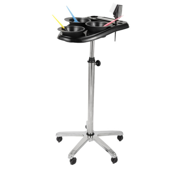 ColorCraft Beauty Salon Trolley Cart - Image 2