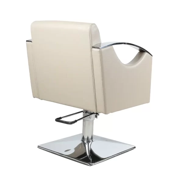 Contemporary Class Styling Chair - Imagen 2
