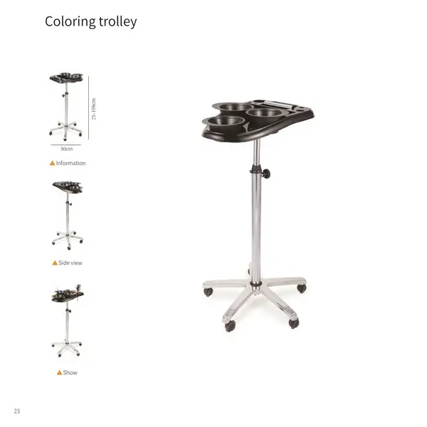 ColorCraft Beauty Salon Trolley Cart